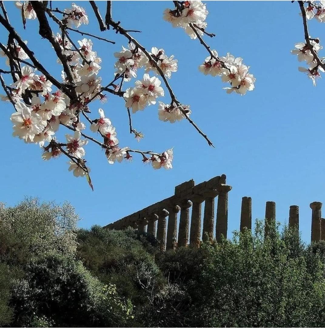 B&B Giunone Agrigento Habitación foto